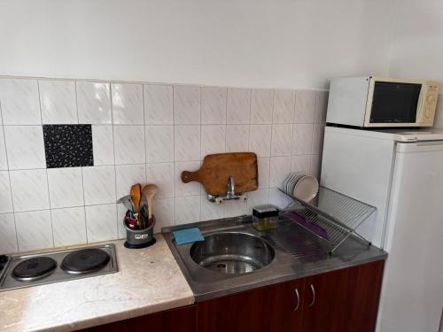 Kuchyň nebo kuchyňský kout v ubytování Benadi Guest House