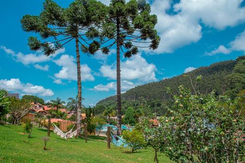 two palm trees in a park with a playground at Pousada das Videiras boutique in Monte Verde