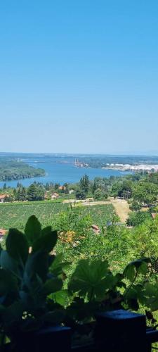 a view of a field of grass with a body of water at View Point House in Smederevo