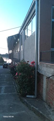 a building with flowers next to a sidewalk next to a building at Sobe i apartmani "Terasa" in Smederevo
