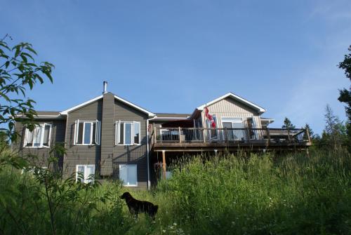 ein Haus mit einem Hund, der davor steht in der Unterkunft Top of Algonquin Bed and Breakfast in Mattawa