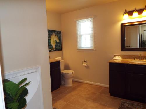 a bathroom with a toilet and a sink and a mirror at 9 Bedroom 6 Bath - Entire House in Alexandria