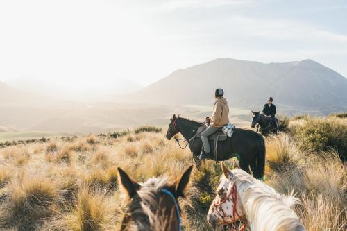 due persone a cavallo su una collina erbosa di Flockhill a Cass