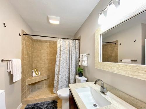 a bathroom with a sink and a toilet and a mirror at Ground level pools specials in Waikoloa Village