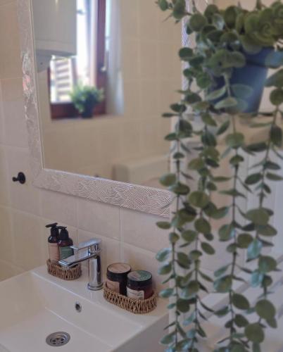 a bathroom sink with a mirror and a plant on it at Apartman Lunna in Vrsi