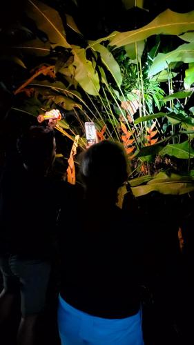 a person standing in front of a plant at Chalets Silencio del Bosque in Fortuna