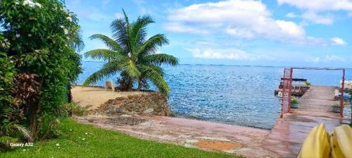 Natuurlandschap vlak bij het vakantiehuis