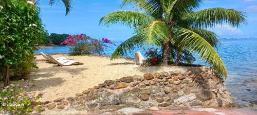 Natuurlandschap vlak bij het vakantiehuis