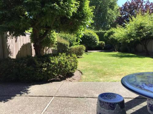 a view of a yard with a tree and a table at sweet home in Richmond