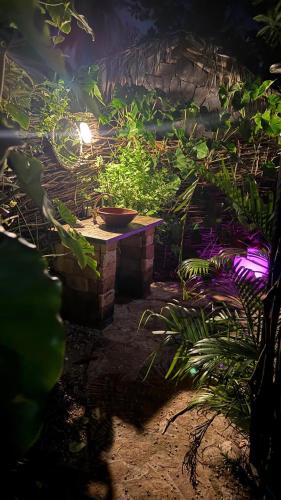 Ein Garten an der Unterkunft Guajiru kite-safari