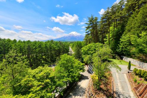 an aerial view of a mountain in a forest at Altitude -アルティチュード-939 富士山の麓グランピング in Fujiyoshida