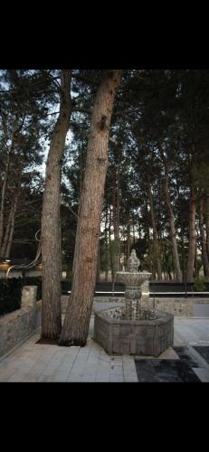 a fountain in front of two trees in a park at Ενοικιαζόμενα δωμάτια ΣΟΛΩΝΑΣ in Mytilini