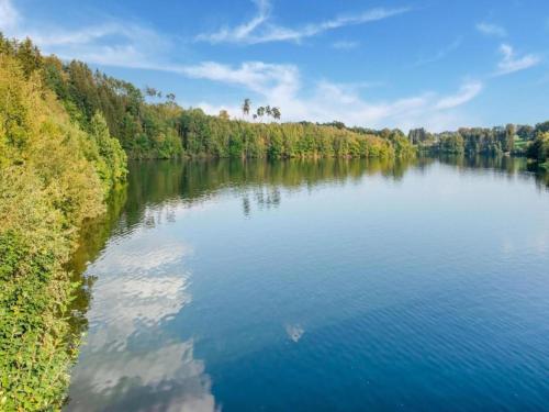 an aerial view of a large river with trees at Comfortable Chalet in Ovifat near Ski Lift in Waimes