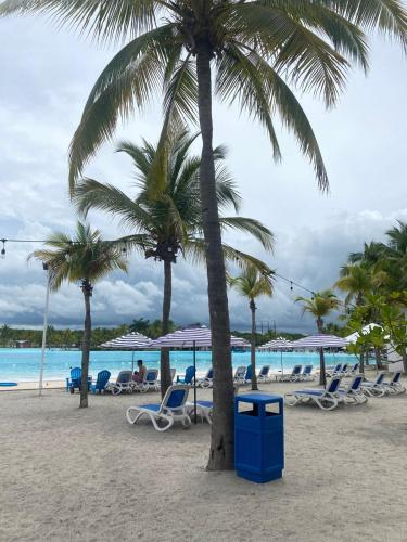 a beach with chairs and palm trees and a blue trash can at Palma Real Beach Club in Playa Blanca