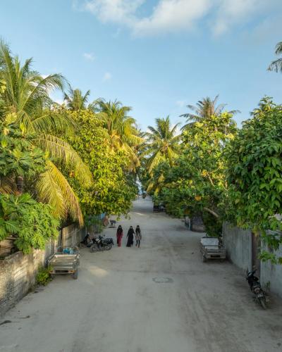 a group of people walking down a dirt road with palm trees at Kirulhiya Maldives - Omadhoo in Omadhoo