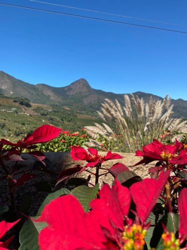 Pemandangan gunung umum atau pemandangan gunung yang diambil dari penginapan & sarapan