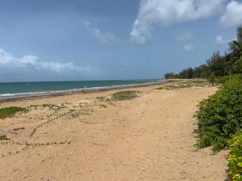 a sandy beach with the ocean in the background at Come, Enjoy & Relax Bosque del Mar 1 Rio Grande, PR in Rio Grande
