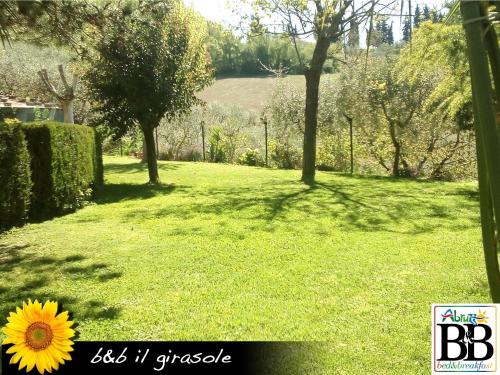 a sunflower sitting on the grass in a yard at Il Girasole in Basciano