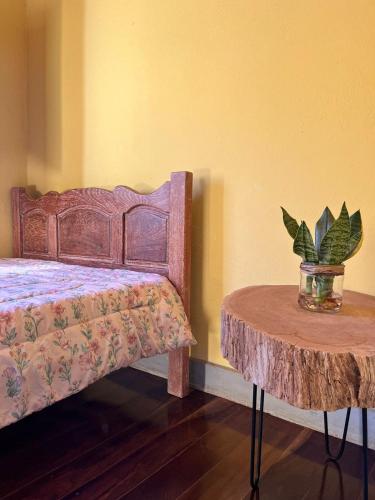 a bedroom with a bed and a table with a potted plant at Casa da Roça Ita in Itamonte