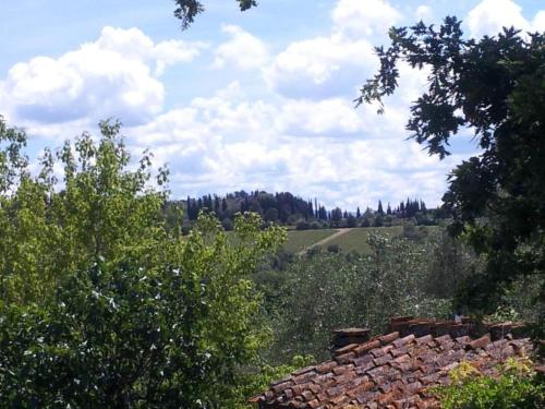 a view of a field with trees and a stone wall at Peccioli Villa Retreat w Pool in Peccioli