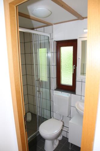 a bathroom with a toilet and a sink at Waldkiez Tiefensee in Tiefensee