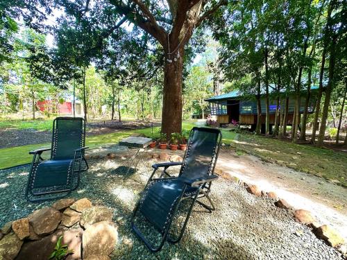 two chairs sitting in a yard under a tree at Villa Hortillosa - Your Home Away from Home in Baras