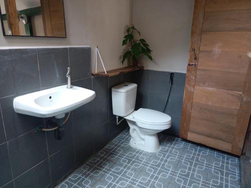 a bathroom with a toilet and a sink at Don Falang Homestay- Private Island in Don Det
