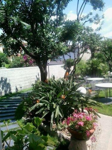 a garden with plants and flowers in a park at Hotel Miramare in Lavagna