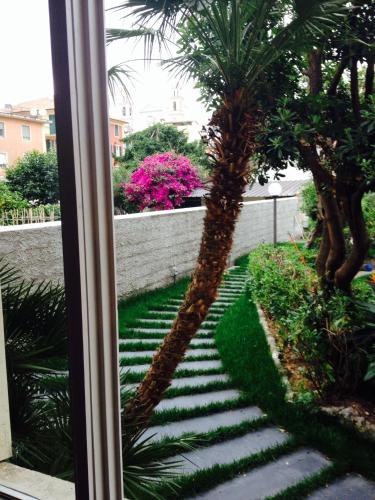 a view of a palm tree from a window at Hotel Miramare in Lavagna
