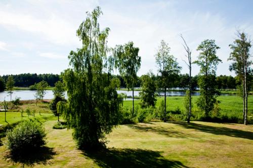 a tree in a field next to a body of water at Ekebacken Hotell & Konferens in Markaryd