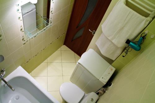 a bathroom with a toilet and a sink at Apartments "The cultural capital" in Lviv