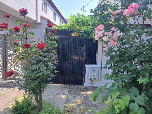 Emyra's holiday rooms