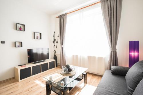 Телевизор и/или развлекательный центр в Čajkovskij Apartments