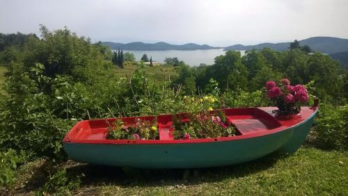 a boat with flowers in it sitting on the grass at Guesthouse Mitsiopoulou in Neochori