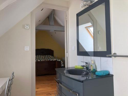 un baño con lavabo y espejo en Gîte le Laurier, en Saint-James