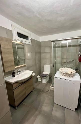 a bathroom with a sink and a shower and a toilet at Bee Home - Holiday Cottage in Agia Effimia