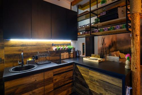 a kitchen with a sink and a counter at Dziupla House in Czarna