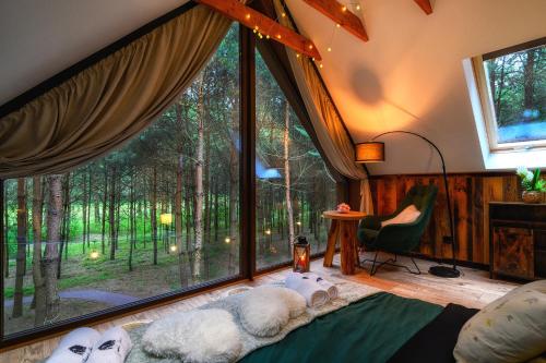 a room with a large window with two dogs laying on the floor at Dziupla House in Czarna