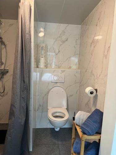 a bathroom with a white toilet in a room at Zwart Pareltje in Kiel