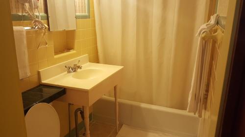 a bathroom with a sink and a shower curtain at Starlight Inn in Bennington