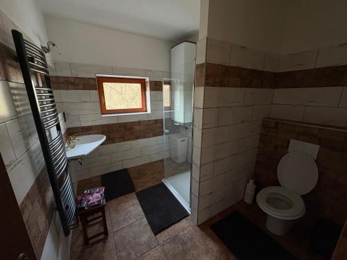 a bathroom with a toilet and a sink and a shower at Feltlův mlýn v Borovnici in Borovnice
