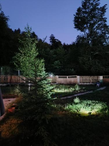a fence in a yard with a tree at Wooden Mountain Villa in Berovo
