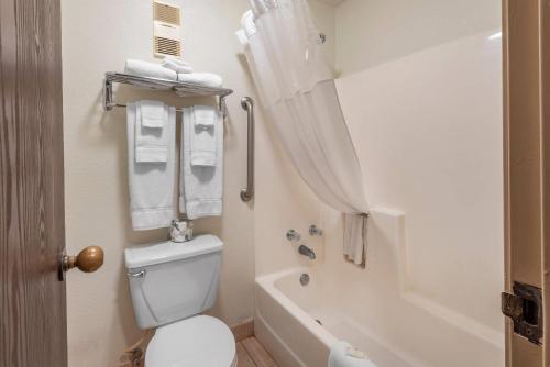 a bathroom with a toilet and a tub and a sink at Quality Inn Grand Junction near University in Grand Junction