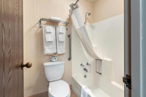 a bathroom with a toilet and a bath tub with towels at Quality Inn Grand Junction near University in Grand Junction