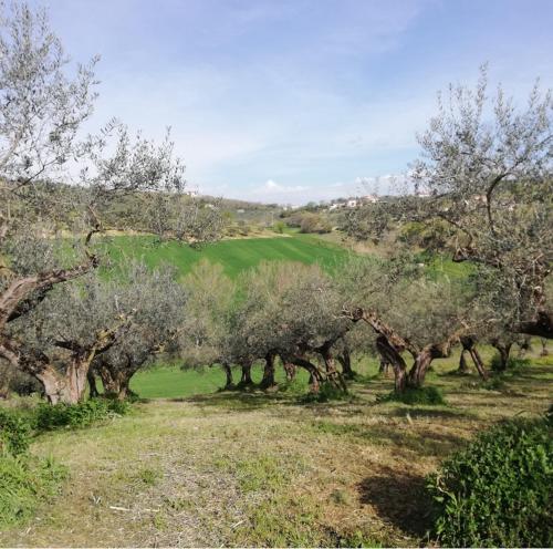 Φυσικό τοπίο κοντά σε αυτή η παραθεριστική κατοικία