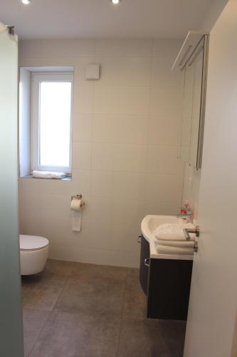 a bathroom with a toilet and a sink and a window at Apartment mit Küche, 2 Einzelbetten, Dusche, Parkplatz, schnellem Internet, ADA7 in Kulmbach