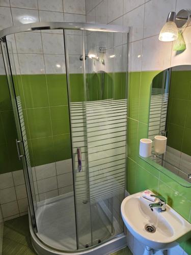 Koupelna v ubytování Apartament Regina