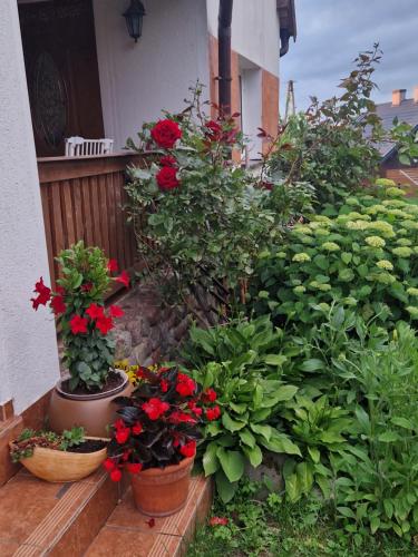 a garden with red flowers and plants on a porch at Agroturystyka u Agnieszki - Mazury 