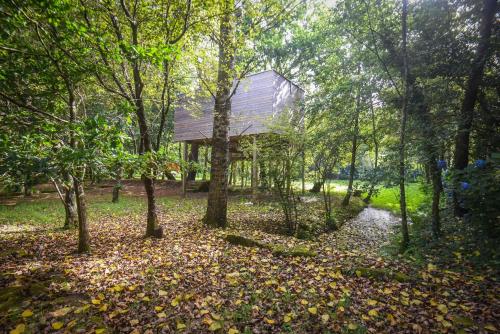 a cabin in the woods with a creek and trees at Cabanas de Apriscos in A Coruña