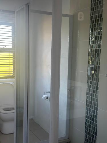 a bathroom with a toilet and a glass shower at Mountain View Guest House in Underberg in Underberg